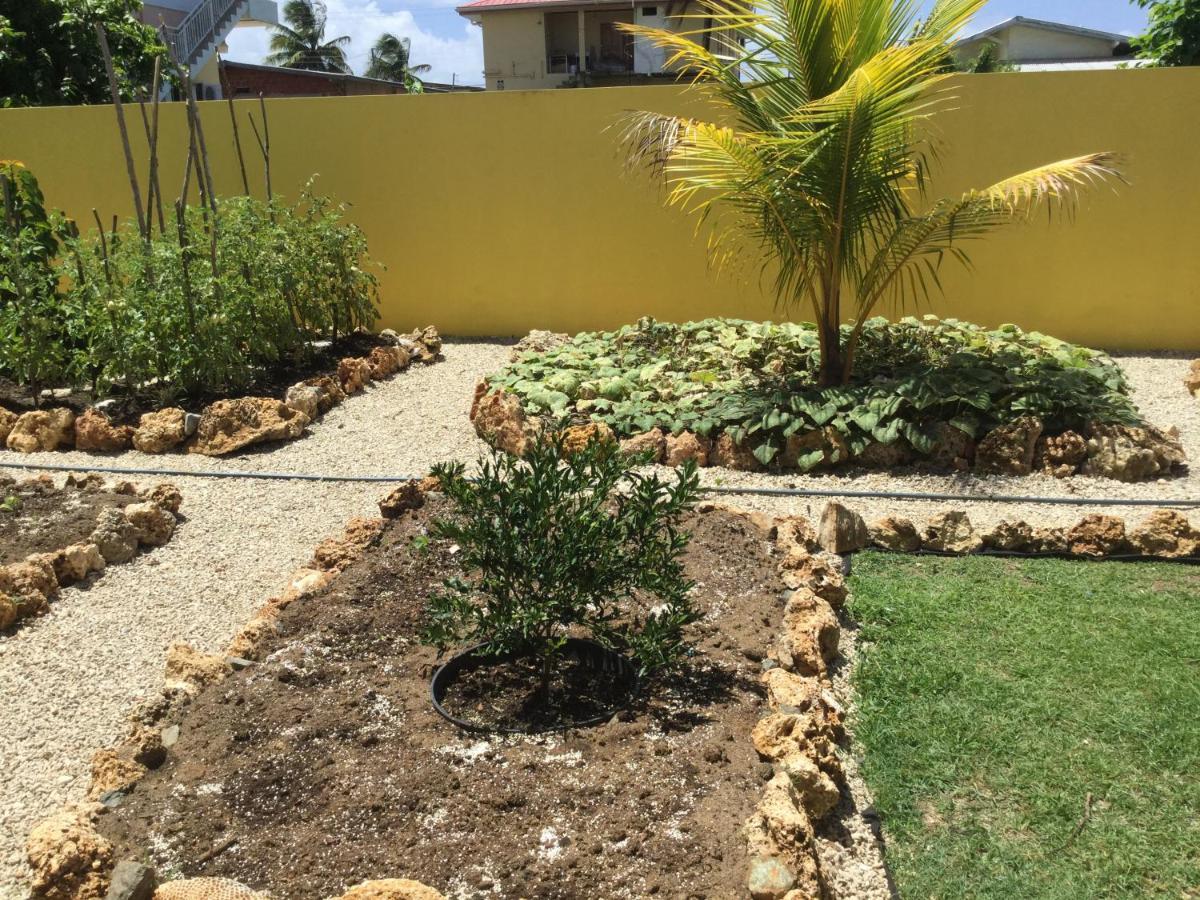 Cc Best Villas Tobago Lowlands Kültér fotó