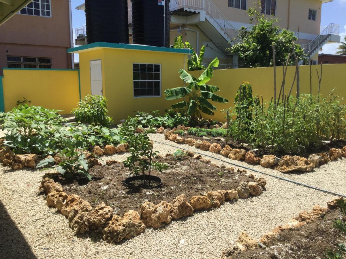 Cc Best Villas Tobago Lowlands Kültér fotó